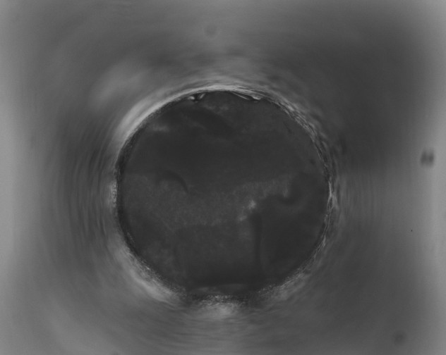 X0000111460247200907201119