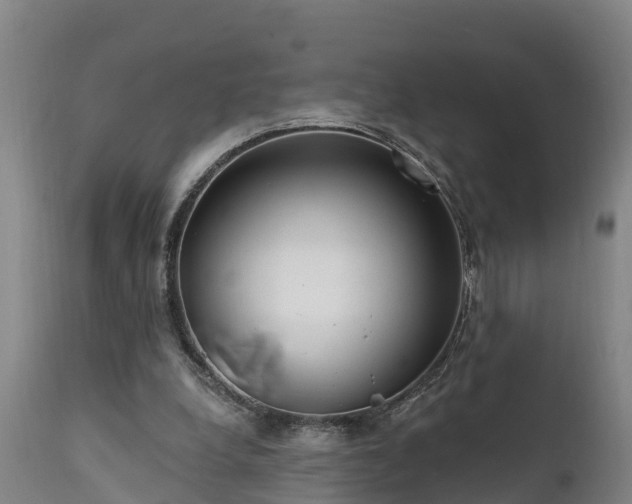 X0000111460248200907201119