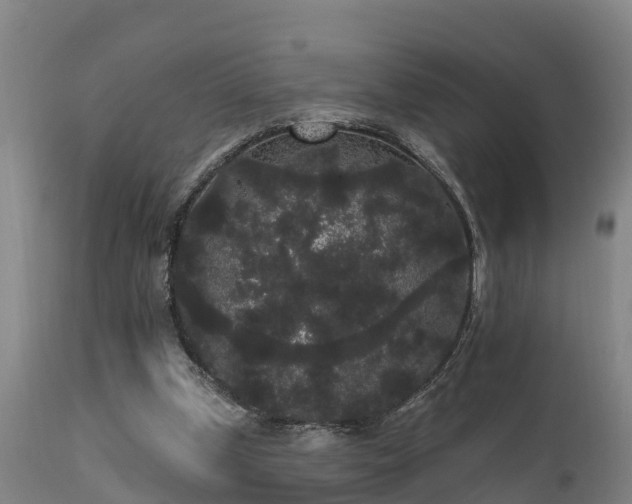 X0000111460249200907201119