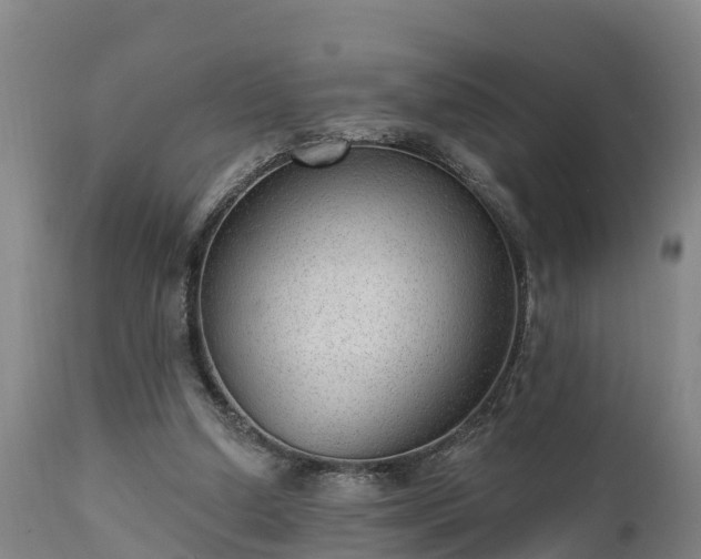 X0000111460250200907201119