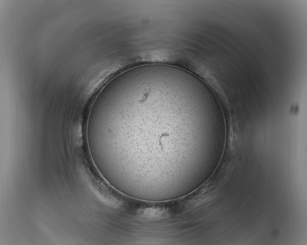 X0000111460251200907201119