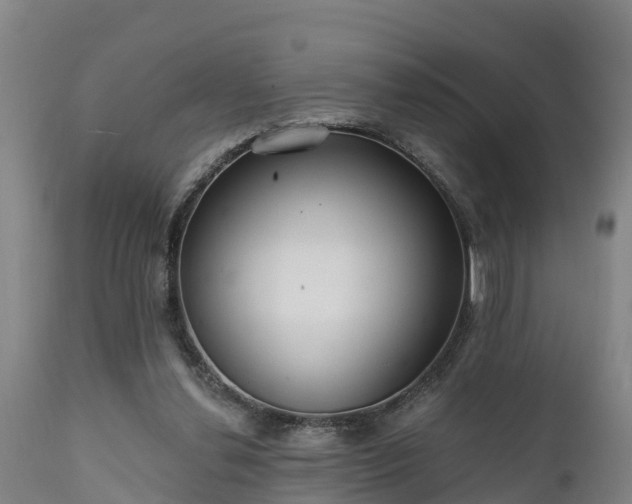 X0000111460252200907201119