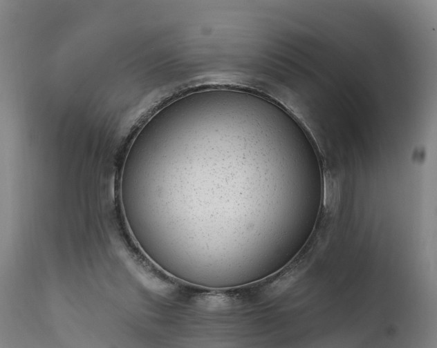 X0000111460253200907201119