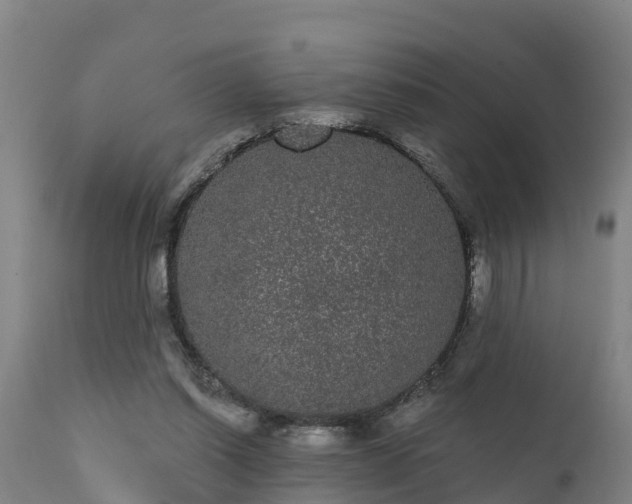 X0000111460254200907201119