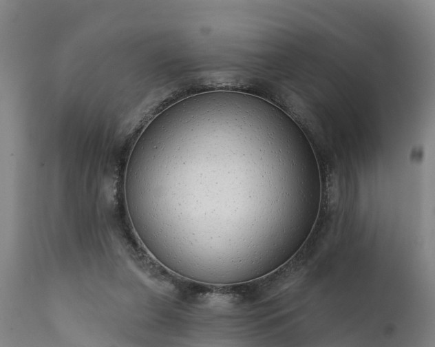 X0000111460255200907201119