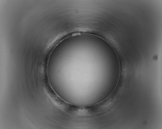 X0000111460256200907201119