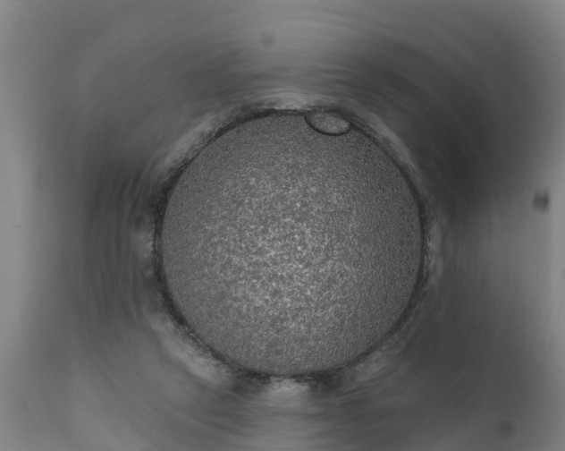 X0000111460257200907201119