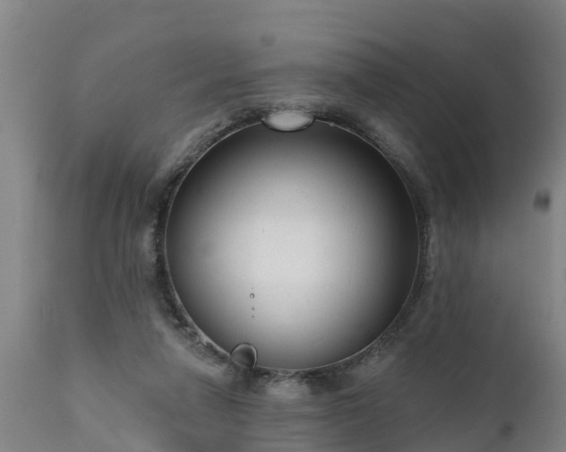 X0000111460258200907201119