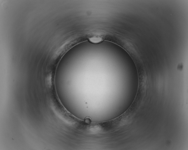 X0000111460262200907201119