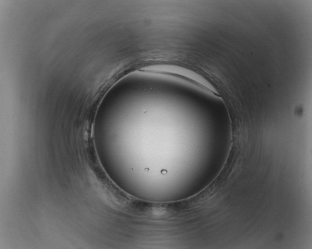 X0000111460264200907201119