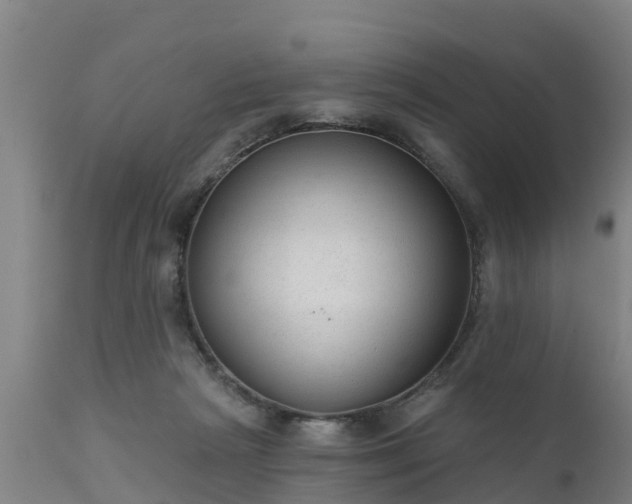 X0000111460265200907201119