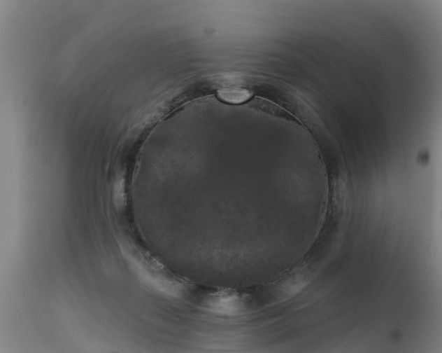 X0000111460267200907201119