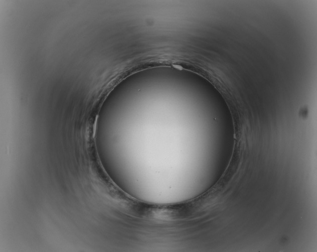 X0000111460268200907201119