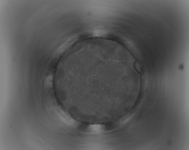 X0000111460269200907201119