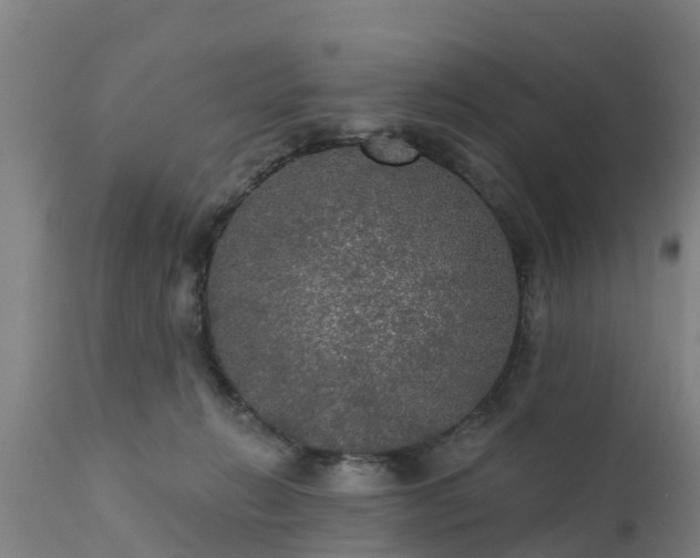 X0000111460270200907201119