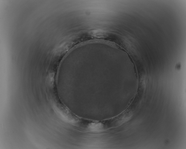 X0000111460271200907201119