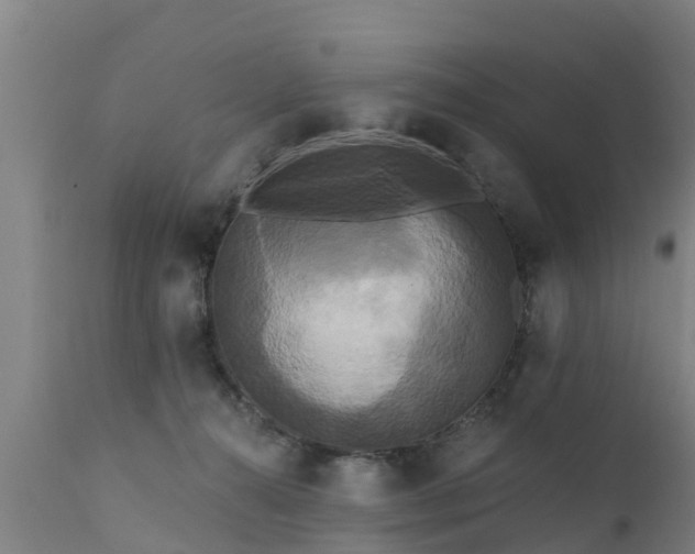 X0000111460272200907201119