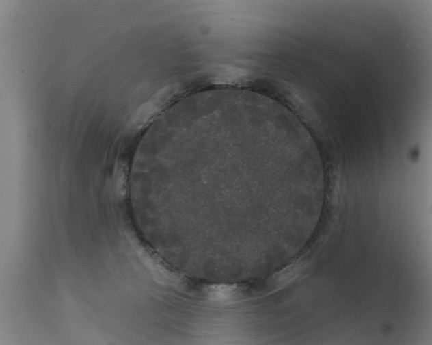 X0000111460273200907201119