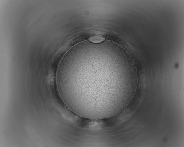 X0000111460274200907201119