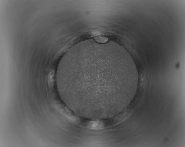 X0000111460275200907201119