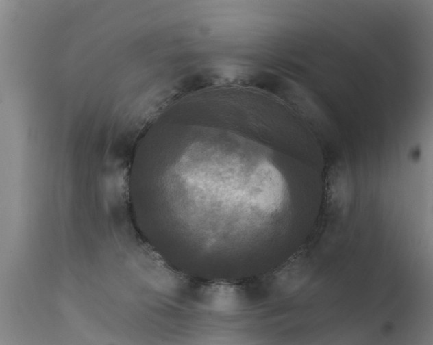 X0000111460276200907201119