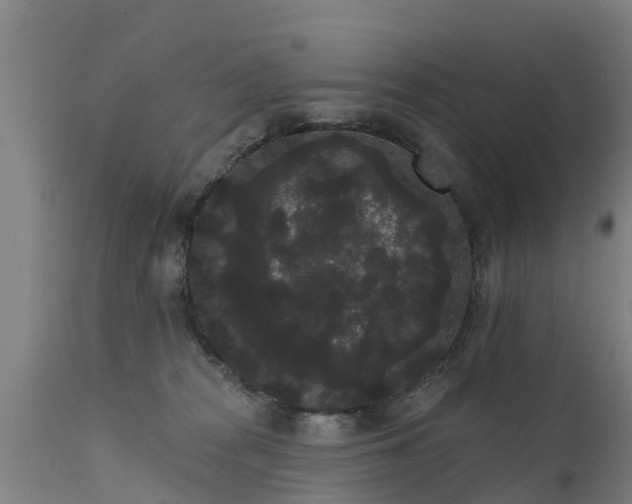 X0000111460277200907201119