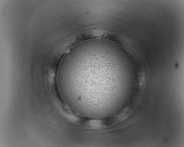 X0000111460279200907201119