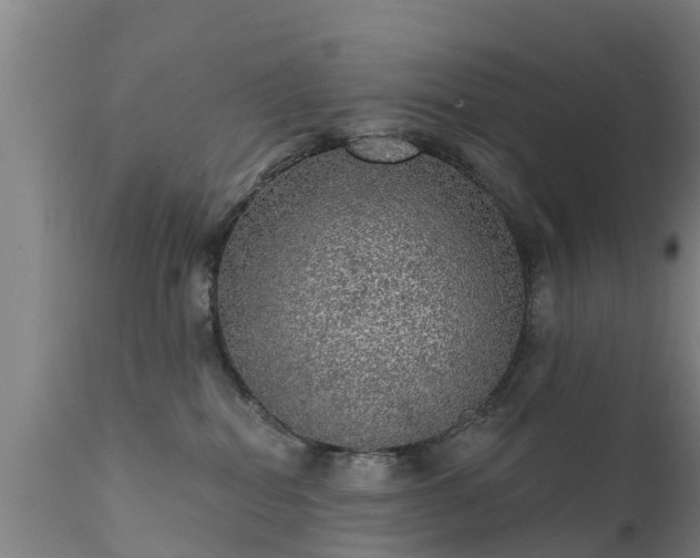 X0000111460282200907201120