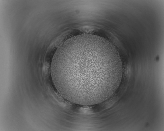 X0000111460283200907201120