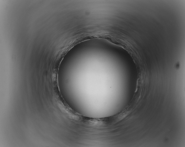 X0000111460284200907201120