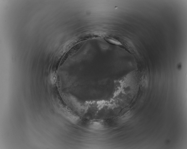 X0000111460285200907201120