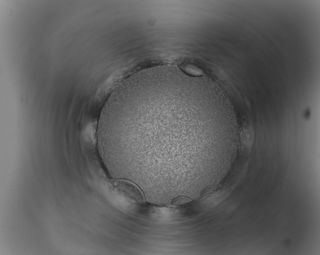 X0000111460286200907201120