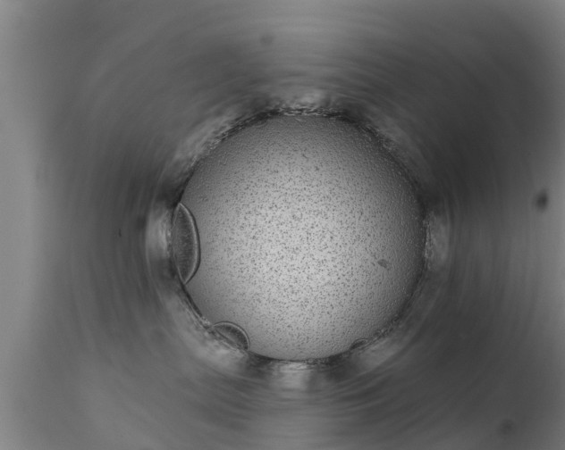 X0000111460287200907201120