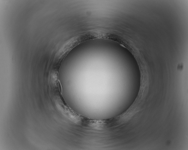 X0000111460288200907201120