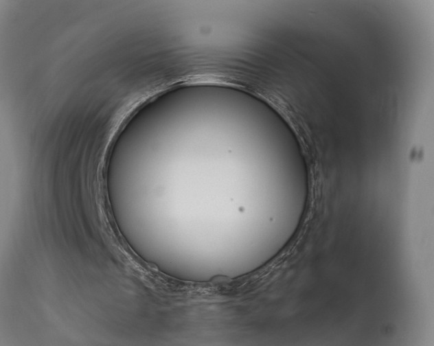 X0000111460289200907201119