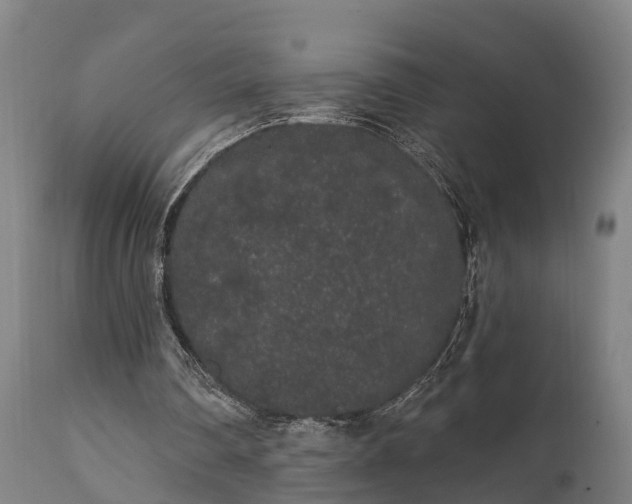 X0000111460290200907201119