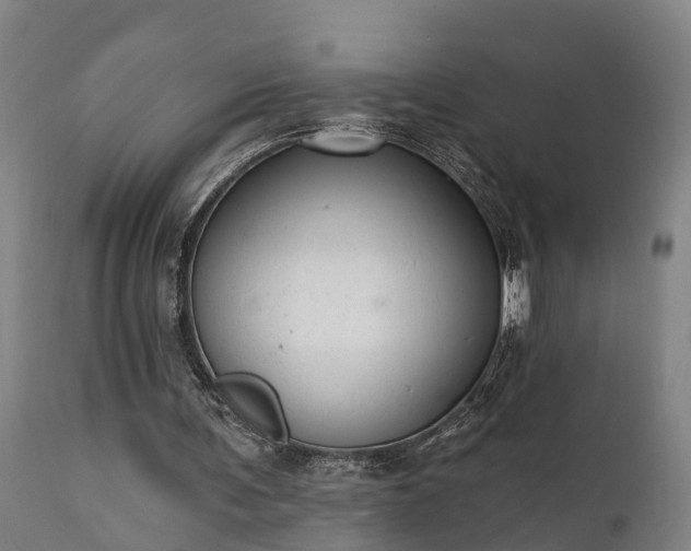 X0000111460291200907201119