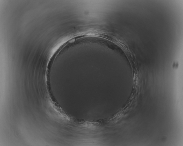 X0000111460292200907201119