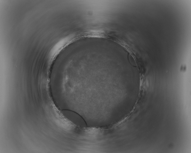 X0000111460293200907201119