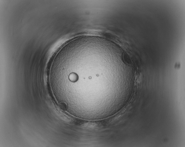 X0000111460294200907201119