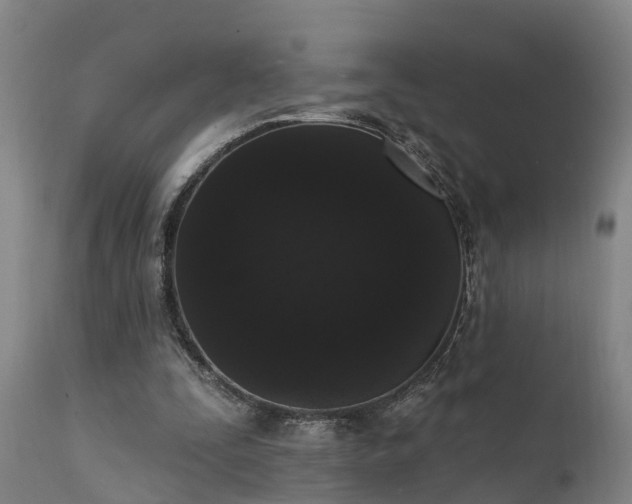 X0000111460295200907201119