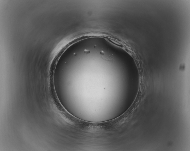 X0000111460296200907201119