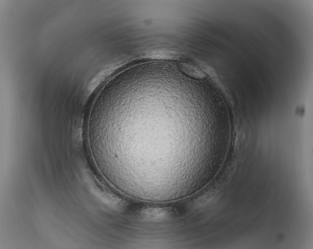 X0000111460299200907201119