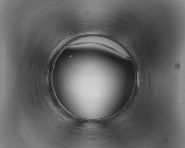 X0000111460300200907201119