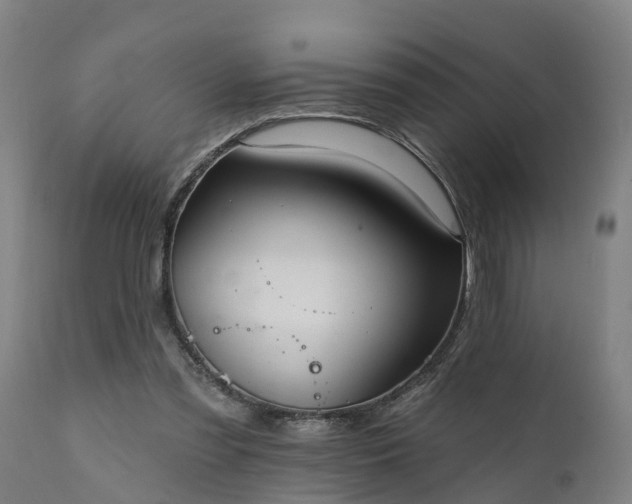 X0000111460301200907201119