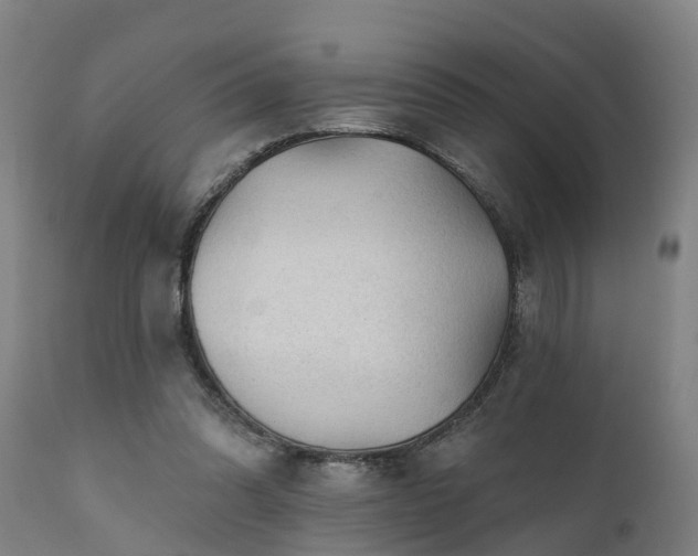 X0000111460302200907201119