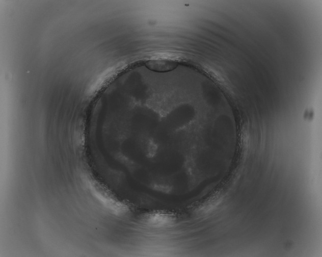 X0000111460303200907201119