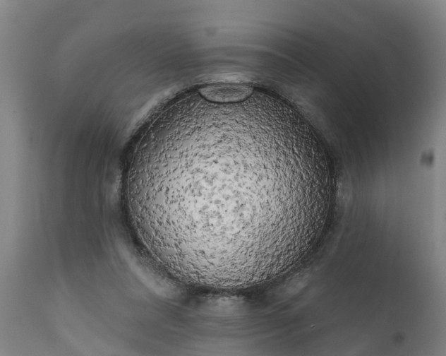 X0000111460304200907201119