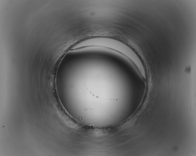 X0000111460305200907201119