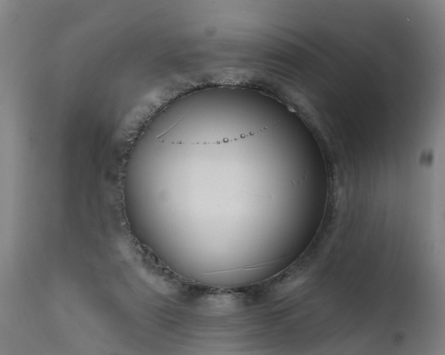 X0000111460307200907201119